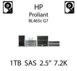 1TB 2.5" dedykowany dysk serwerowy SAS do serwera HP ProLiant BL465c G7, HDD Enterprise 7.2k - 605835-B21