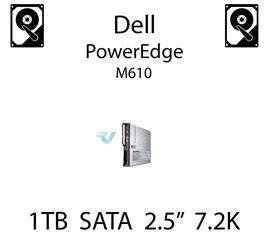 1TB 2.5" dedykowany dysk serwerowy SATA do serwera Dell PowerEdge M610, HDD Enterprise 7.2k - WF12F (REF)