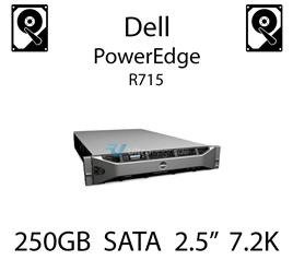250GB 2.5" dedykowany dysk serwerowy SATA do serwera Dell PowerEdge R715, HDD Enterprise 7.2k, 320MB/s - P383F (REF)