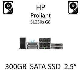 300GB 2.5" dedykowany dysk serwerowy SATA do serwera HP ProLiant SL230s G8, SSD Enterprise  - 739888-B21 (REF)